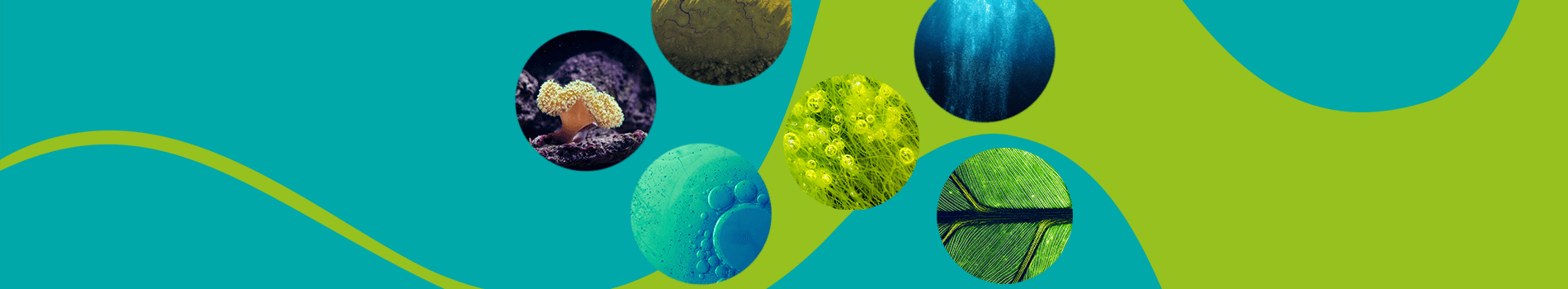 SEIS Fund VIII: Carbon13 targets top-quartile returns