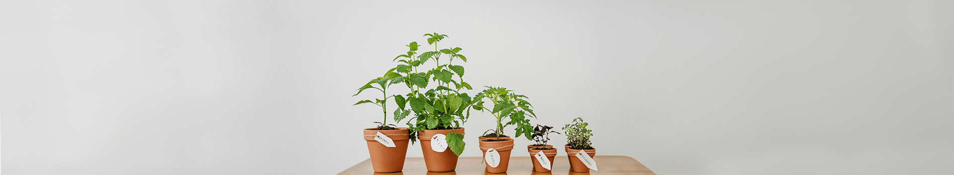 2020 UK startups - how did they do and how well did we invest in them?