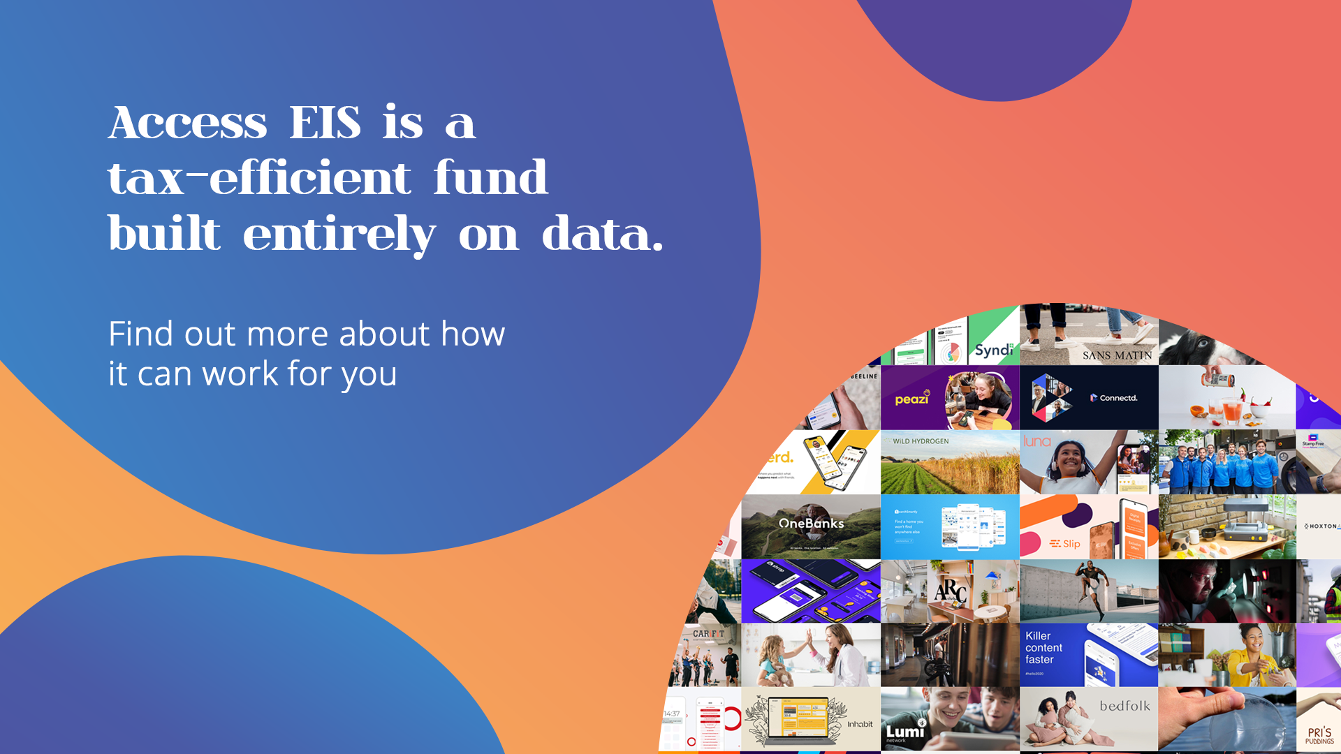 An advert for the Access EIS Fund that reads: Access EIS is a tax-efficient fun built entirely on data. Find out more about how it can work for you.